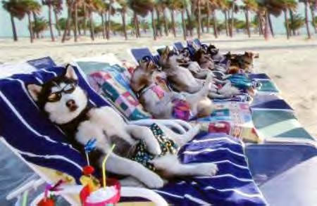 Vacances