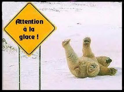 ca glisse