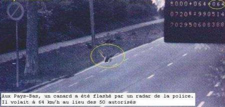 Recherche