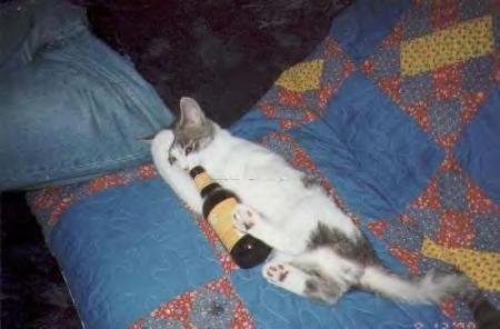 L'alcool !