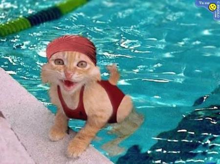 Vive la natation !