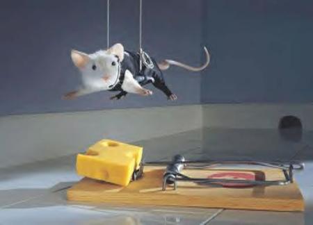 Souris 007