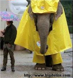LA pluie !!