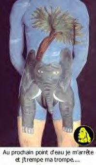 Elephant