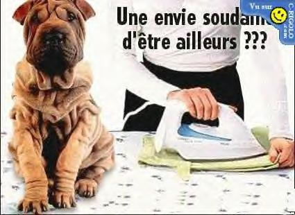  un peu froissé ?