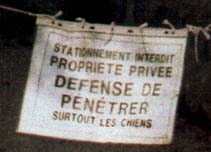 Les chiens