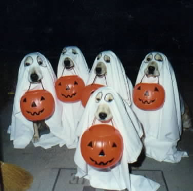 Haloween